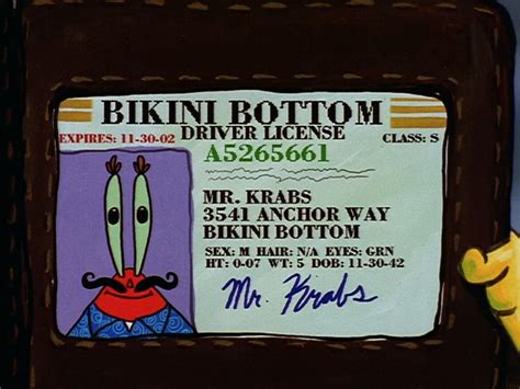 mr krabs license|mr krabs license to kill.